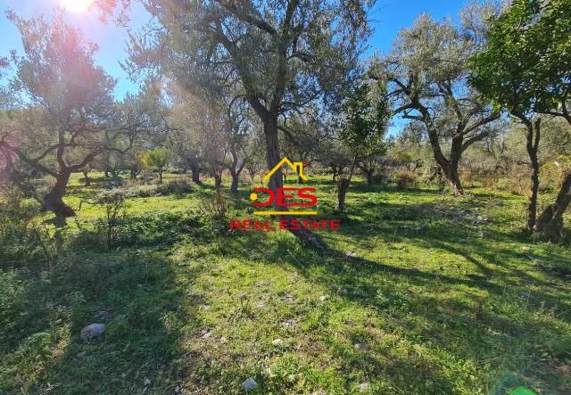 Himare, shes toke bujqesore 2.300 m² 345.000 Euro