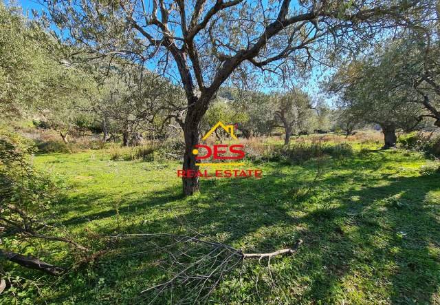 Himare, shes toke bujqesore 2.300 m² 345.000 Euro