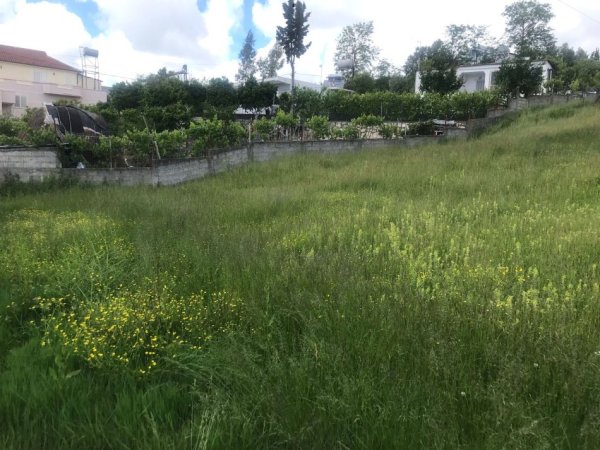Durres, shes truall , 700 m² 54.000 € (në Shkozet Durres)
