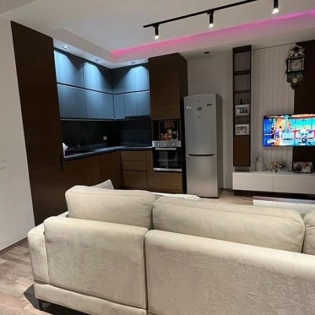 Tirane, jepet Apartament  1+1 me qera 350 Euro (Ali Demi)
