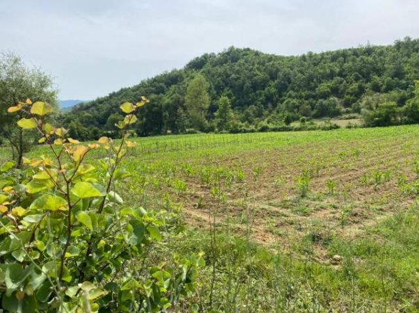 Kavaje, shes toke 7.000 m² 182.000 Euro