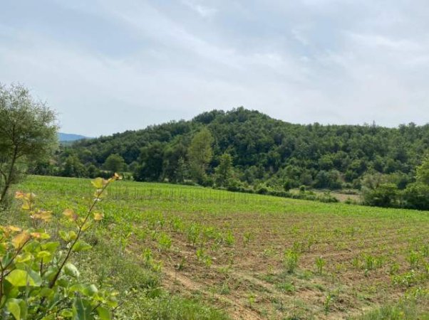 Kavaje, shes toke 7.000 m² 182.000 Euro