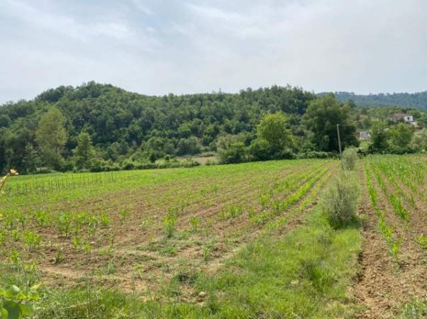 Kavaje, shes toke 7.000 m² 182.000 Euro