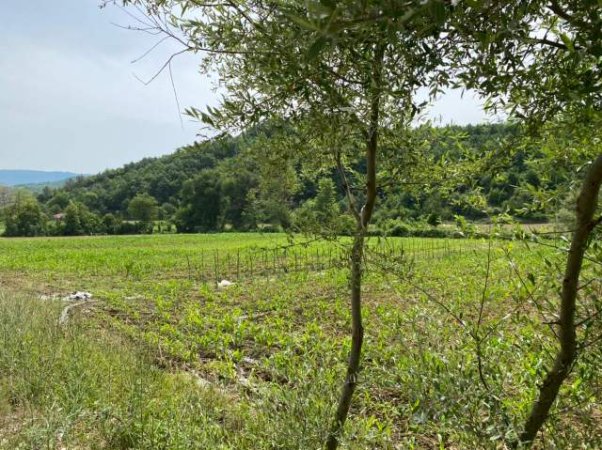 Kavaje, shes toke 7.000 m² 182.000 Euro