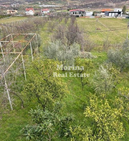 Tirane, jepet me qera shtepi 3+1 Kati 1, 120 m² 500 € (Berzhite)