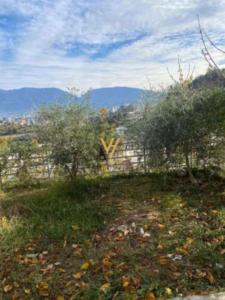 Tirane, ofert Vile 4+1+A+BLK Kati 0, 350 m² 1.700 Euro (KODRA E DIELLIT)
