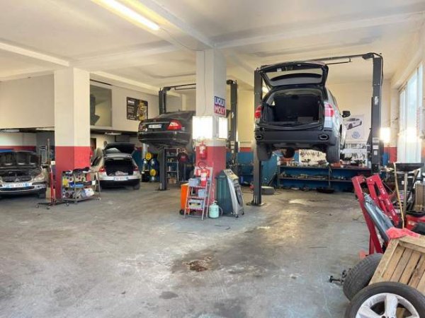 Tirane, shitet ambjent biznesi Kati 0, 255 m² 408.000 Euro (Audostrata Tiran-Elbasan rrethrrotullimi Selit)