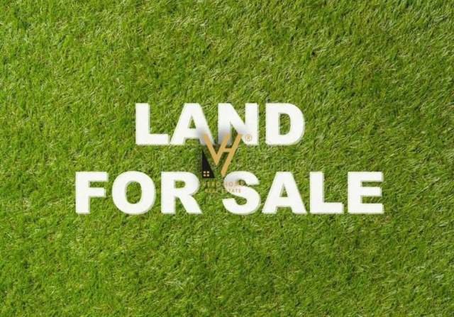 Tirane, shes toke 3.200 m² 480.000 Euro (farke)