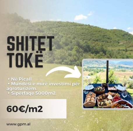 Tirane, shes 5.000 m² 300.000 Euro