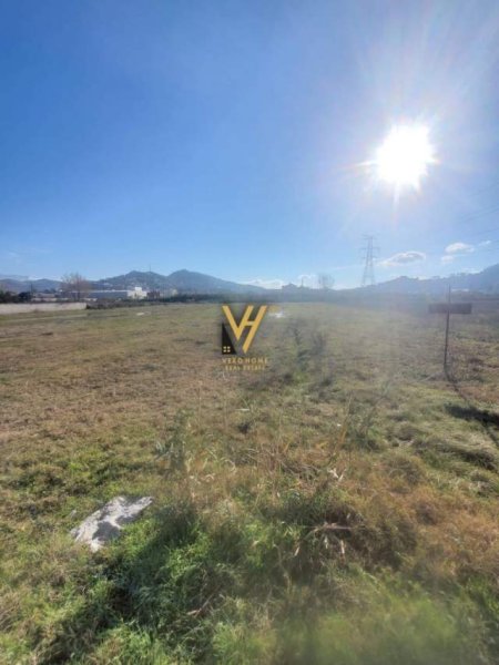 Tirane, shes toke 1.480 m² 103.600 Euro (prush)