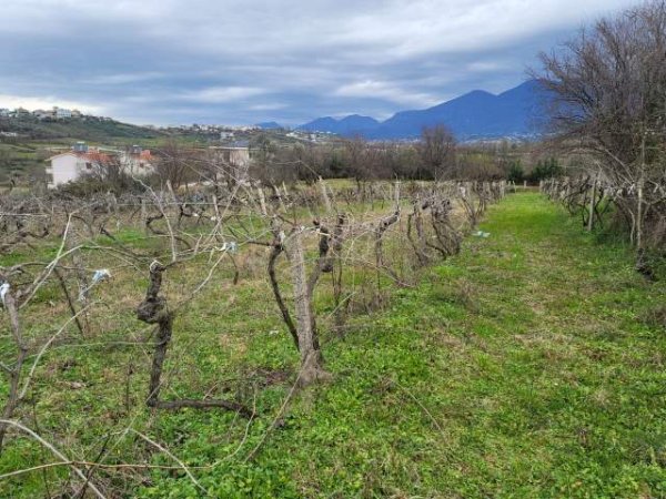 Tirane, shes toke 5.000 m² 120 Euro/m2 (Rruga Xixi, Tirane)