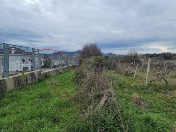 Tirane, shes toke 5.000 m² 120 Euro/m2 (Rruga Xixi, Tirane)