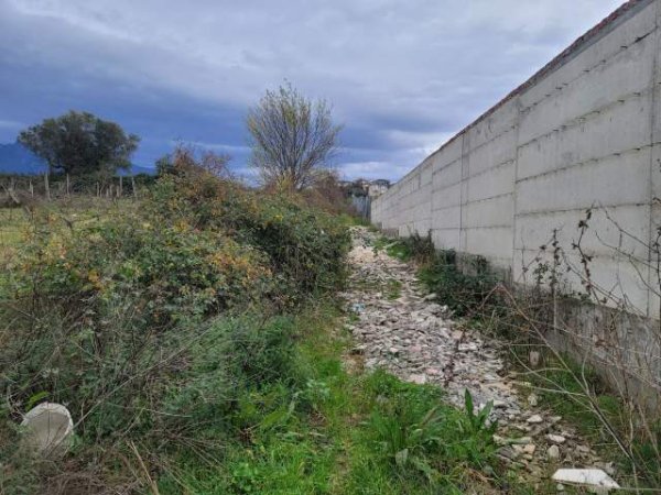 Tirane, shes toke 5.000 m² 120 Euro/m2 (Rruga Xixi, Tirane)