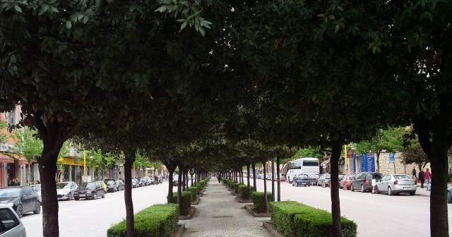 Tirane, shitet ambjent biznesi Kati 0, 593 m² 3.200.000 Euro (Bulevardi Zogu I)