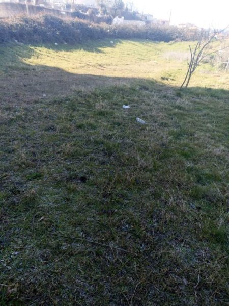 Tirane, shes truall 600 m² 96.000 Euro (vilat gjermane)