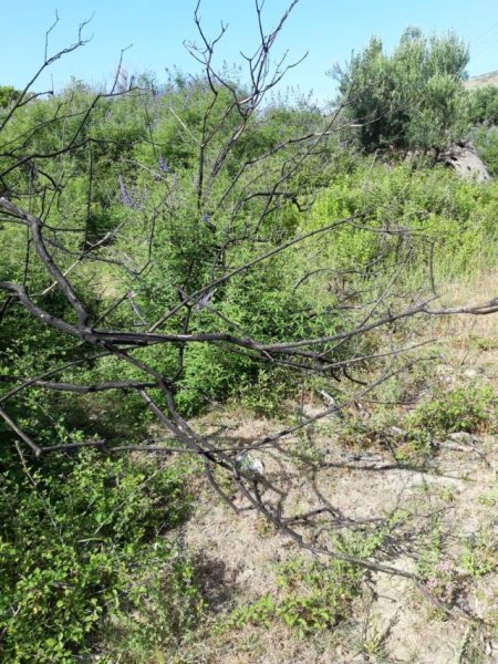 Himare, shes truall ne bregdet 1.100 m² 147.000 Euro (Qeparo)
